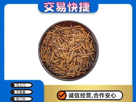 上海金山区礼品回收虫草.jpg
